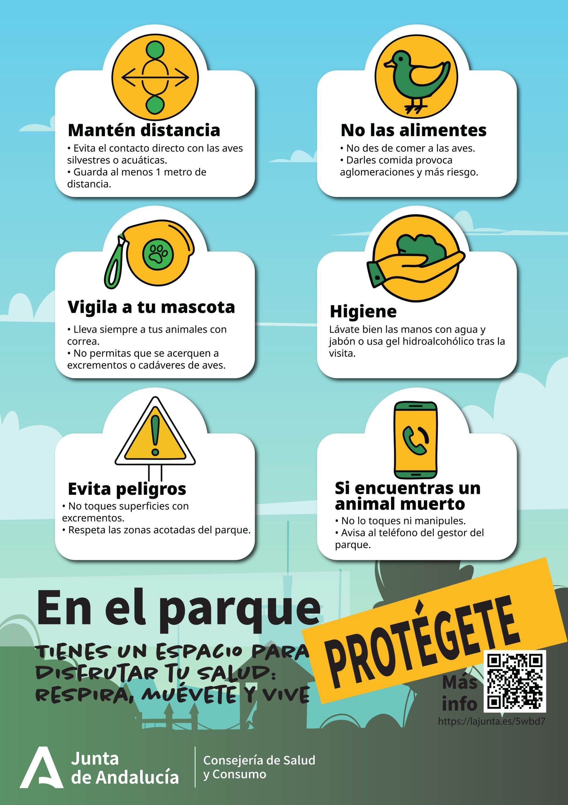 AVISO / Protocolo de actuación de la Junta de Andalucía ante la gripe aviar