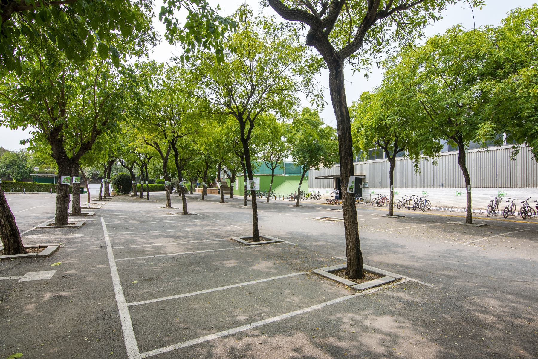 AVISO / Acceso de vehículos al Club Náutico tras la Feria